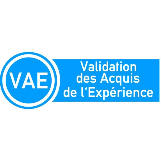 VAE : tout savoir sur la validation des acquis